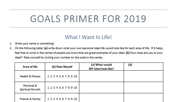 2019 Goals Primer